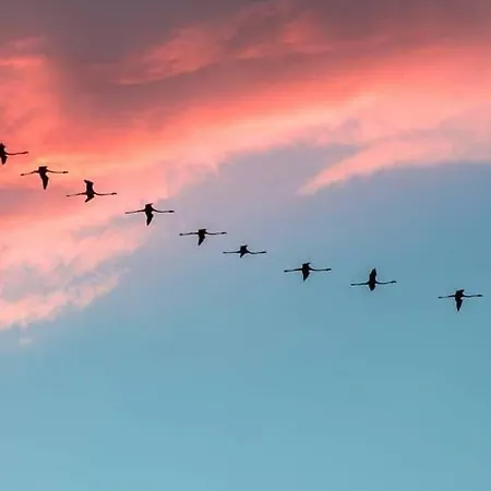 The Cube Vacation Ever 別荘 Sìnnai