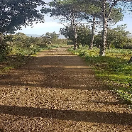 The Cube Vacation Ever 別荘