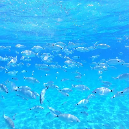 The Cube Vacation Ever Sìnnai