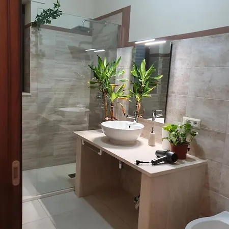 The Cube Vacation Ever