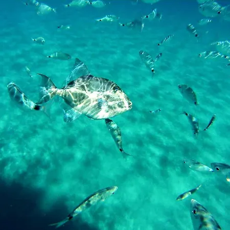 The Cube Vacation Ever