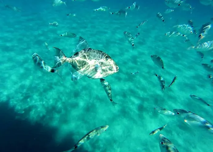 The Cube Vacation Ever